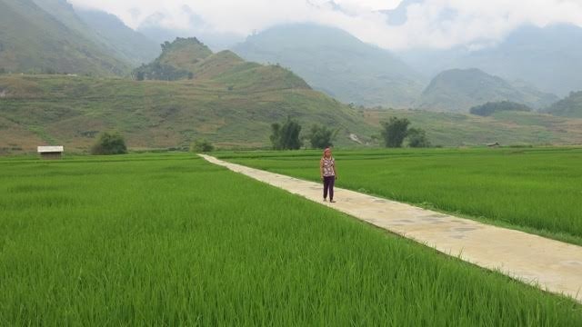 Đông Hà, la première commune néo-rurale de Hà Giang - ảnh 1